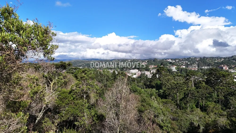 Terreno, 1245 m² - Foto 5