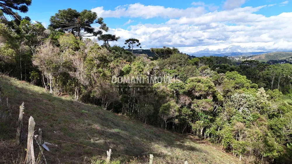 Terreno, 1245 m² - Foto 4