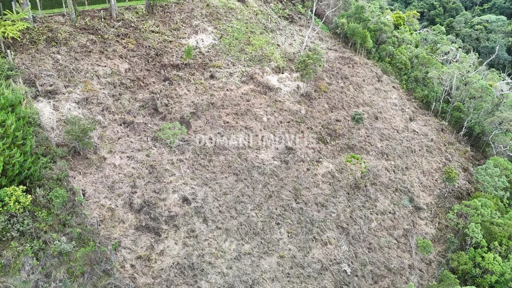 Terreno, 1060 m² - Foto 7