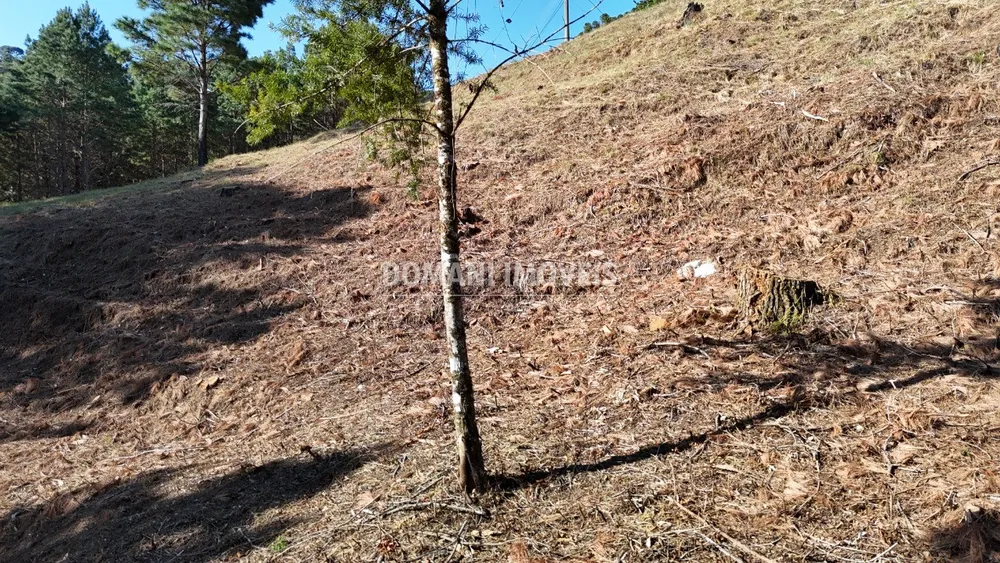 Terreno, 1060 m² - Foto 8