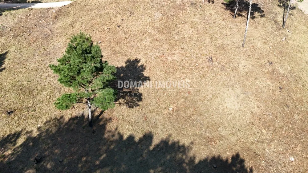 Terreno, 1060 m² - Foto 6