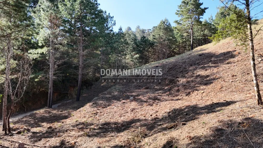 Terreno, 1060 m² - Foto 2