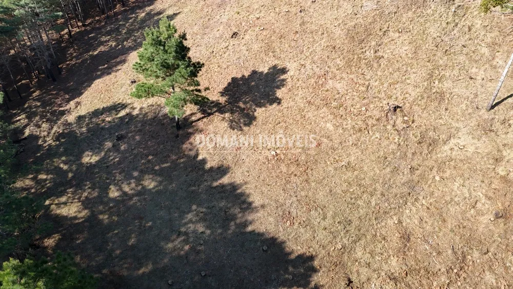 Terreno, 1060 m² - Foto 3