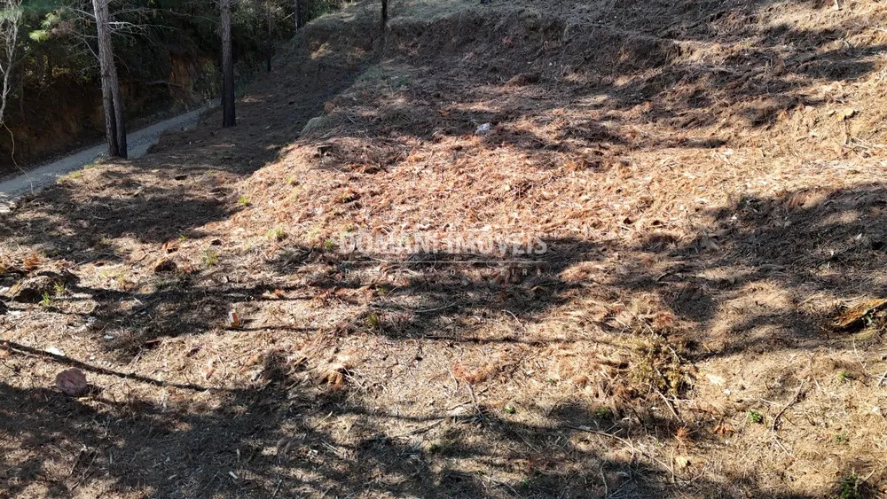 Terreno, 1060 m² - Foto 5