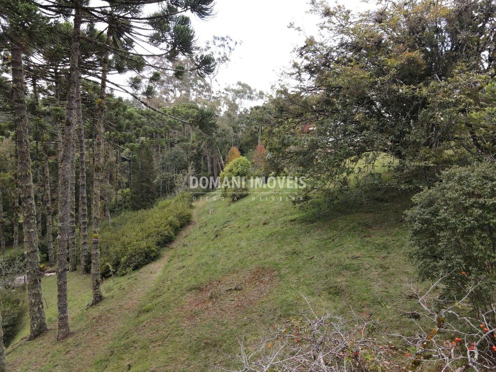 Terreno, 1300 m² - Foto 2
