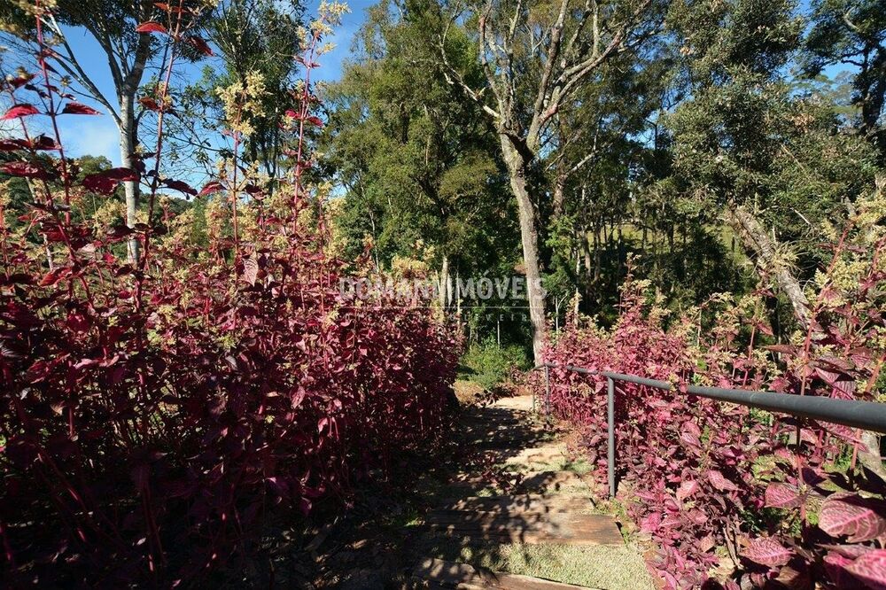 Terreno, 1300 m² - Foto 6