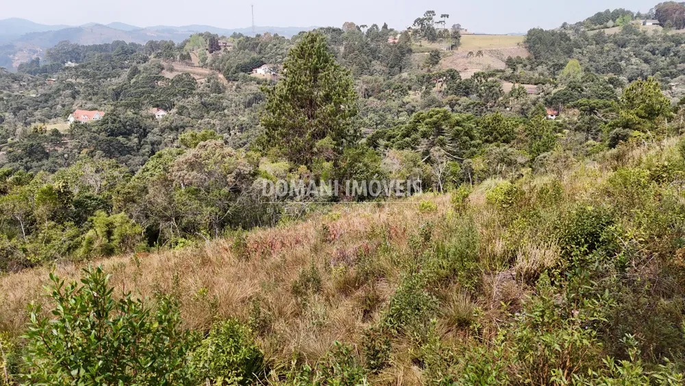 Terreno, 8480 m² - Foto 4