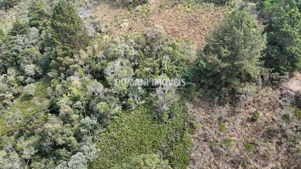 Terreno, 8480 m² - Foto 8