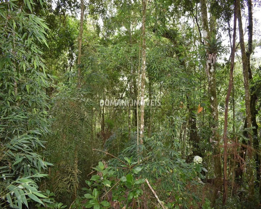 Terreno, 900 m² - Foto 3
