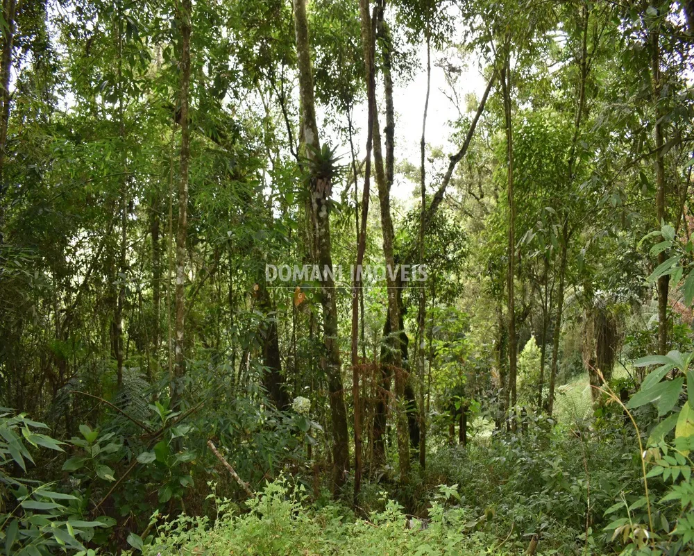 Terreno, 900 m² - Foto 6