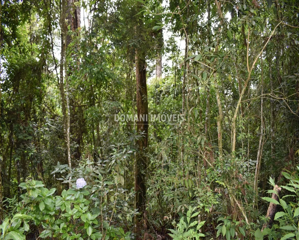 Terreno, 900 m² - Foto 5