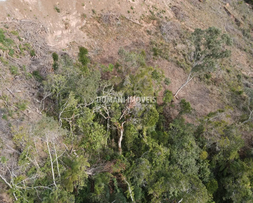 Terreno, 1650 m² - Foto 3