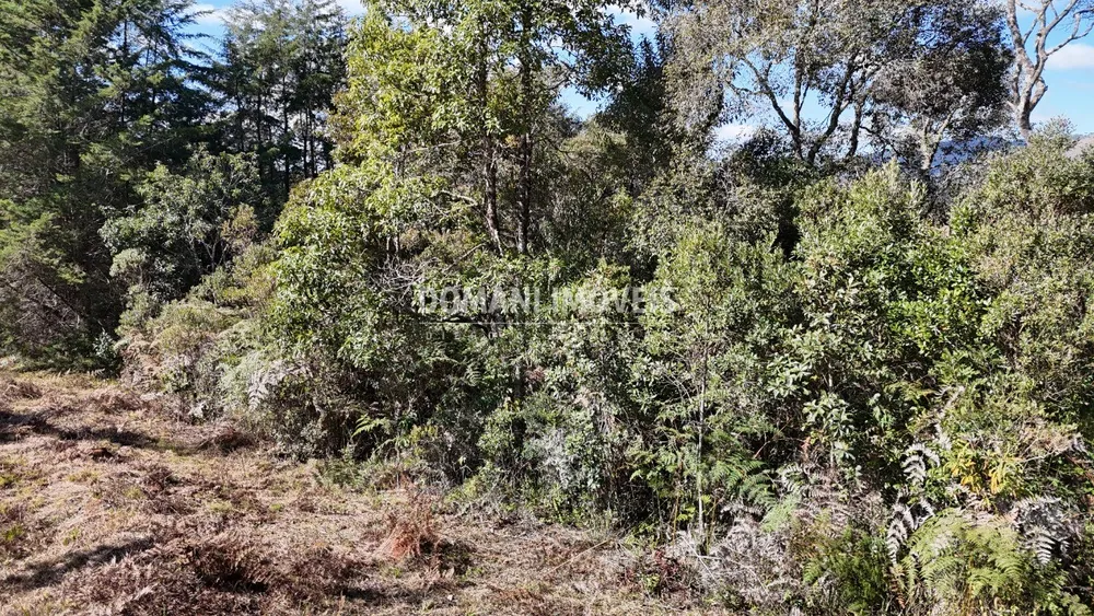 Terreno, 1105 m² - Foto 4