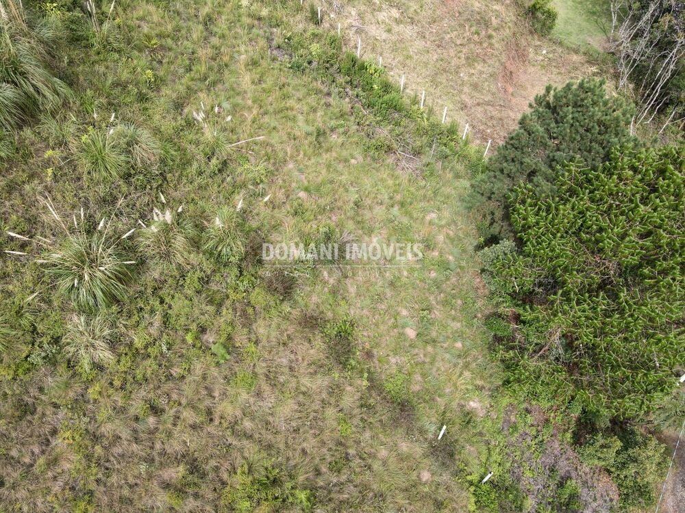 Terreno, 1180 m² - Foto 4