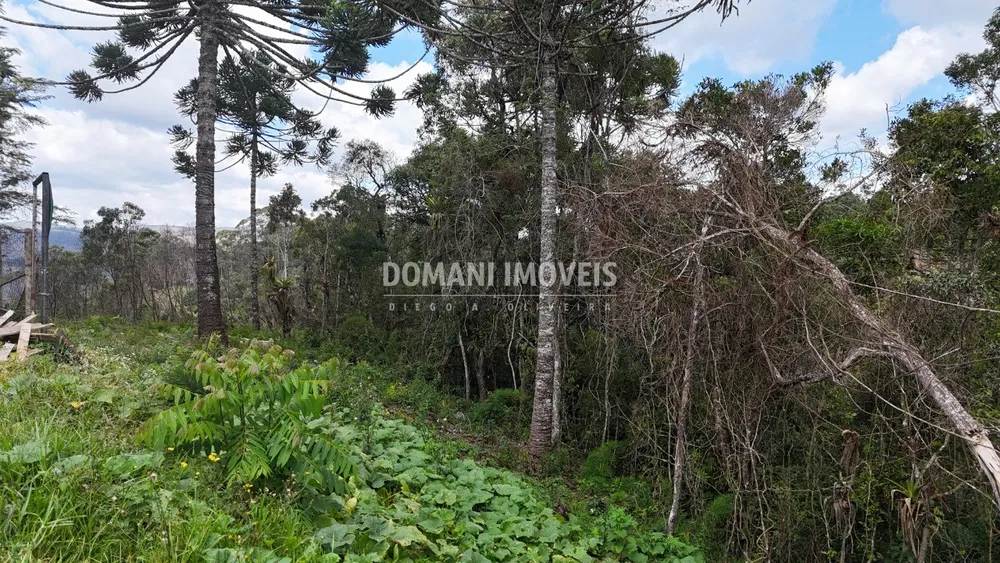 Terreno, 1180 m² - Foto 7