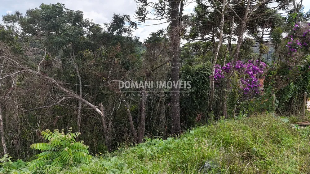 Terreno, 1180 m² - Foto 2