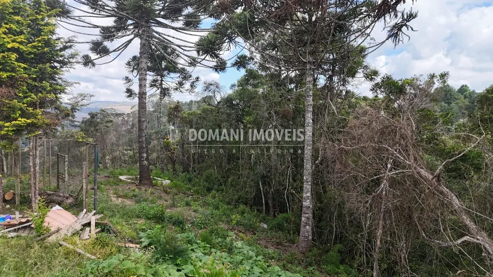 Terreno, 1180 m² - Foto 4