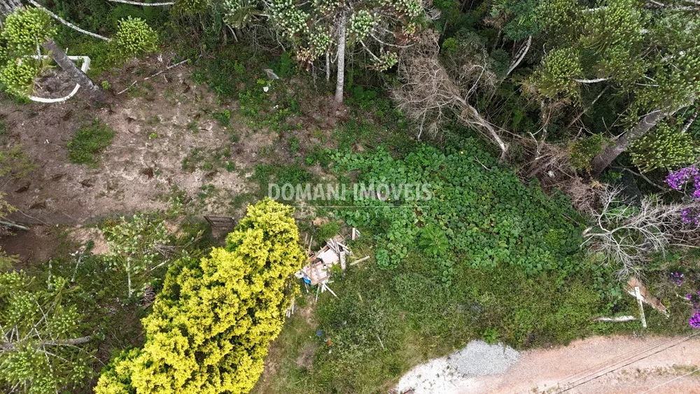 Terreno, 1180 m² - Foto 3