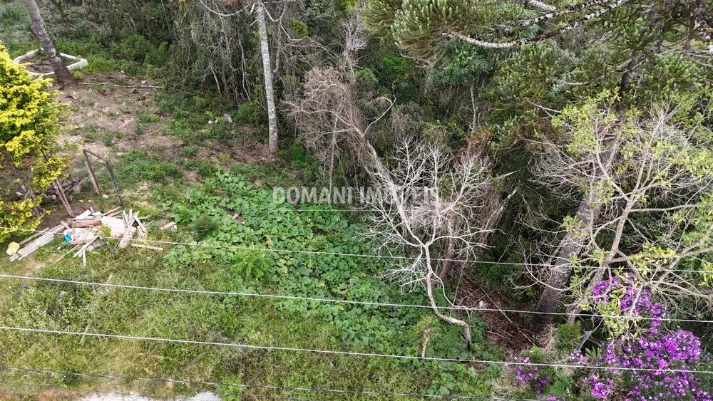 Terreno, 1180 m² - Foto 6