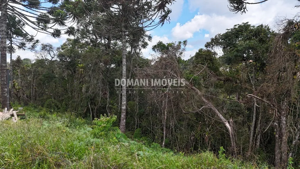 Terreno, 1180 m² - Foto 5