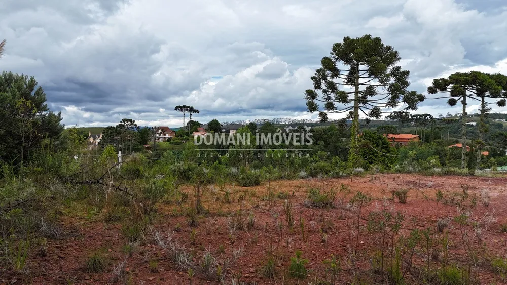 Terreno, 1025 m² - Foto 5