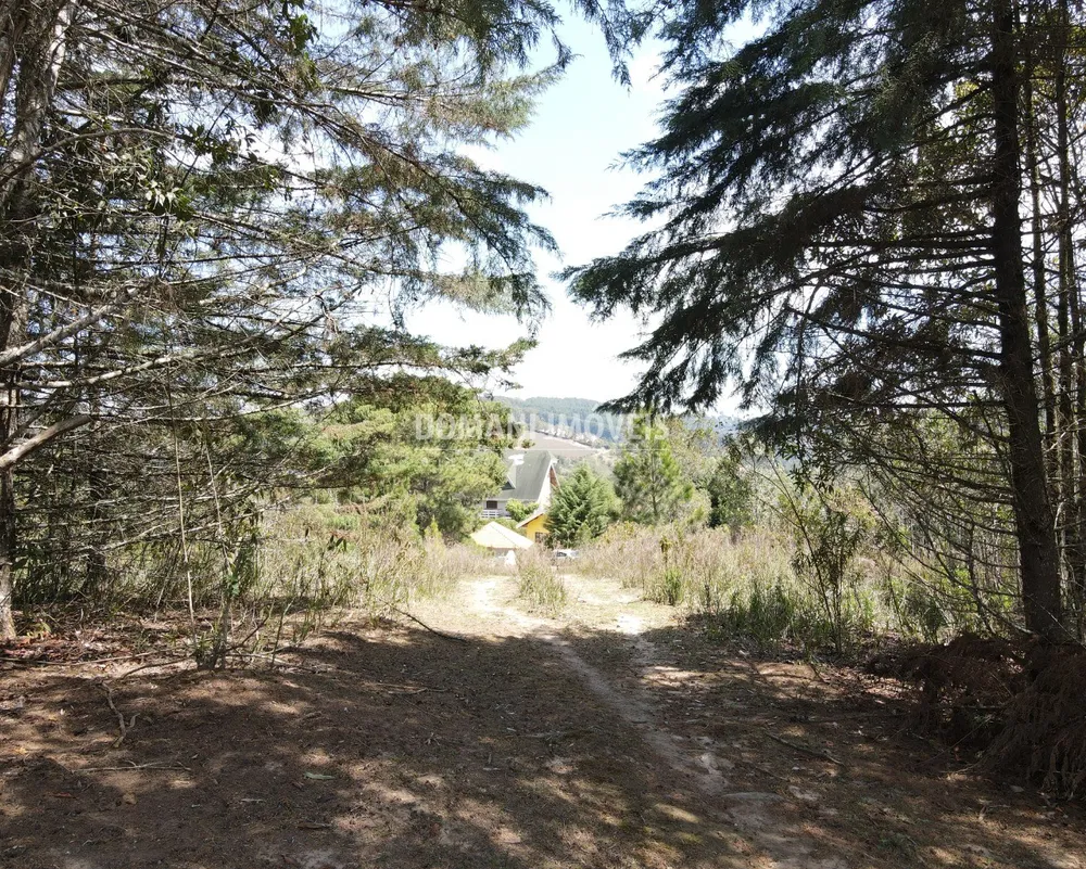 Terreno, 2850 m² - Foto 3