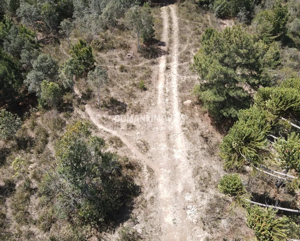 Terreno, 2850 m² - Foto 4