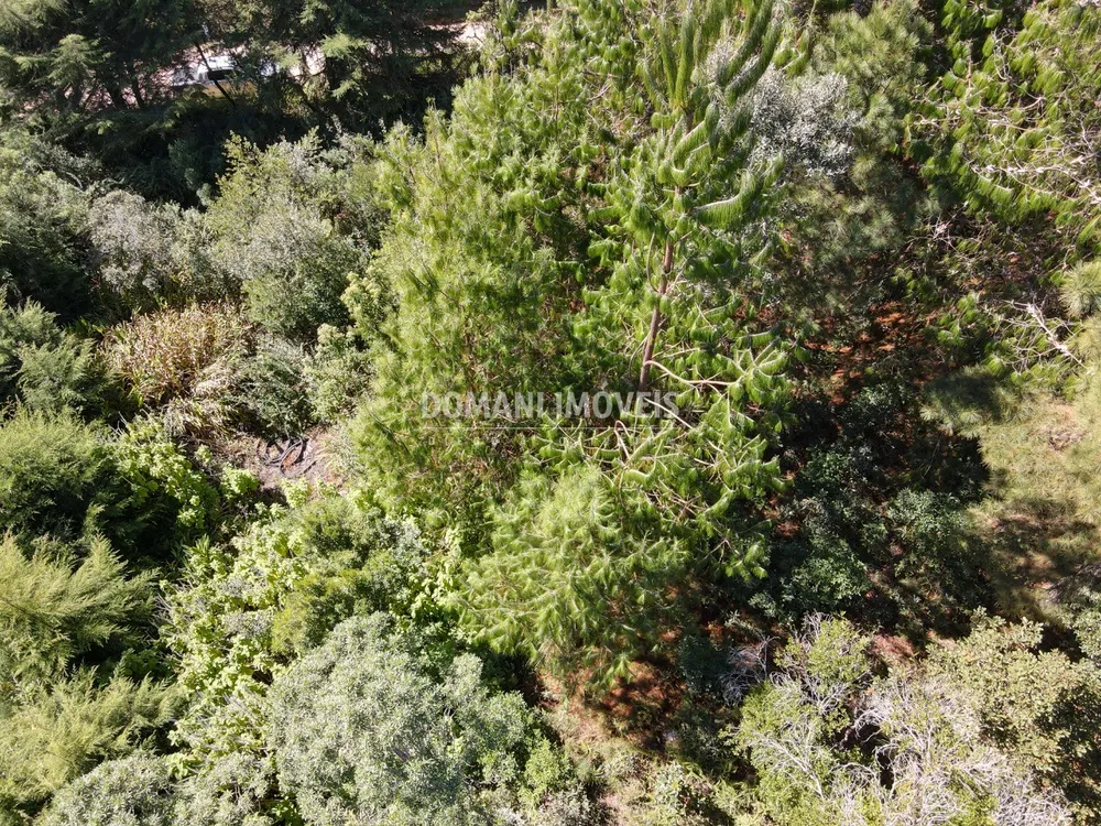 Terreno, 1090 m² - Foto 2