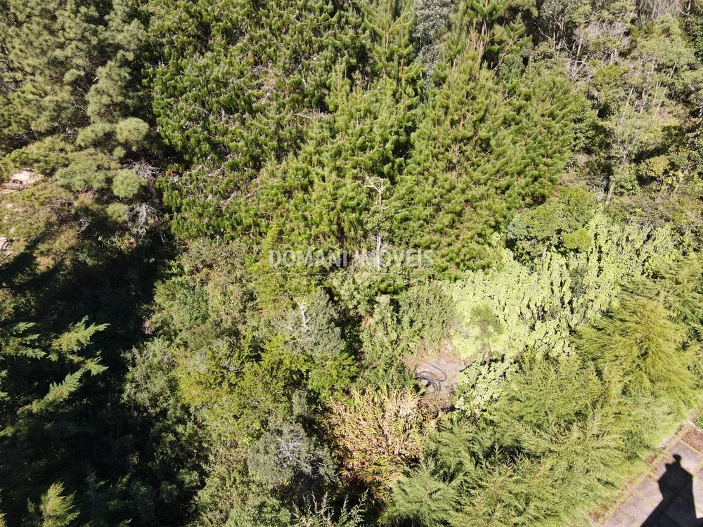 Terreno, 1090 m² - Foto 7