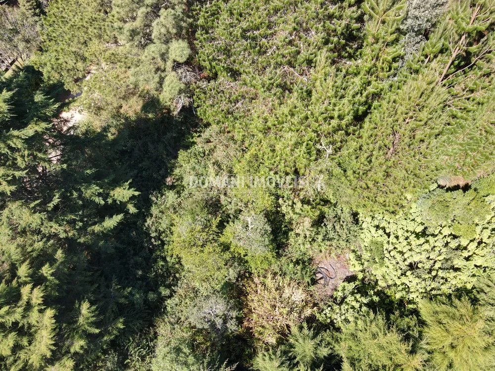 Terreno, 1090 m² - Foto 6