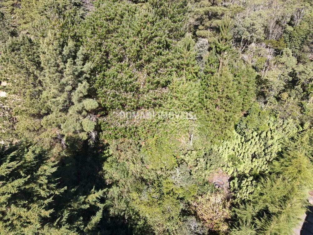 Terreno, 1090 m² - Foto 5