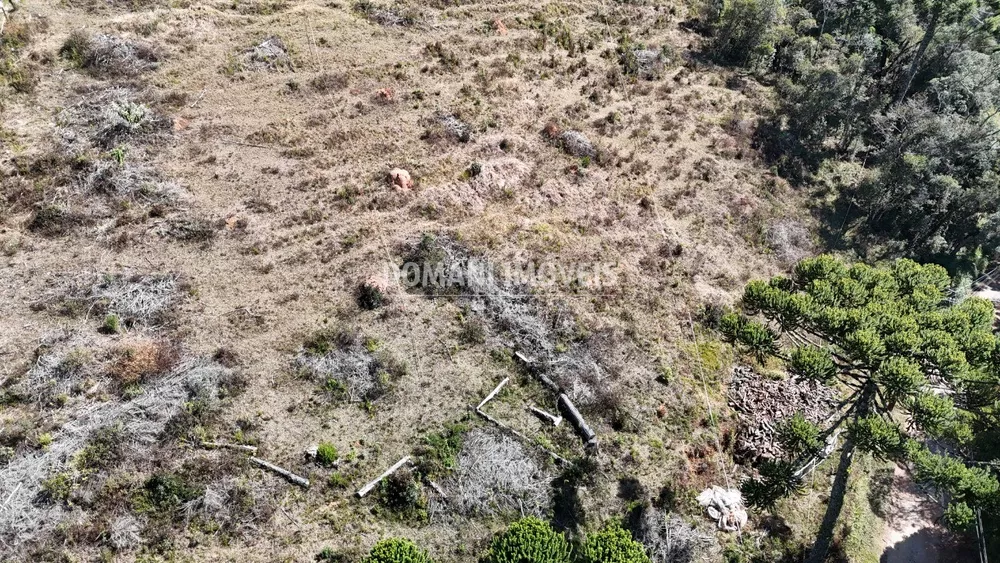 Terreno à venda - Foto 4