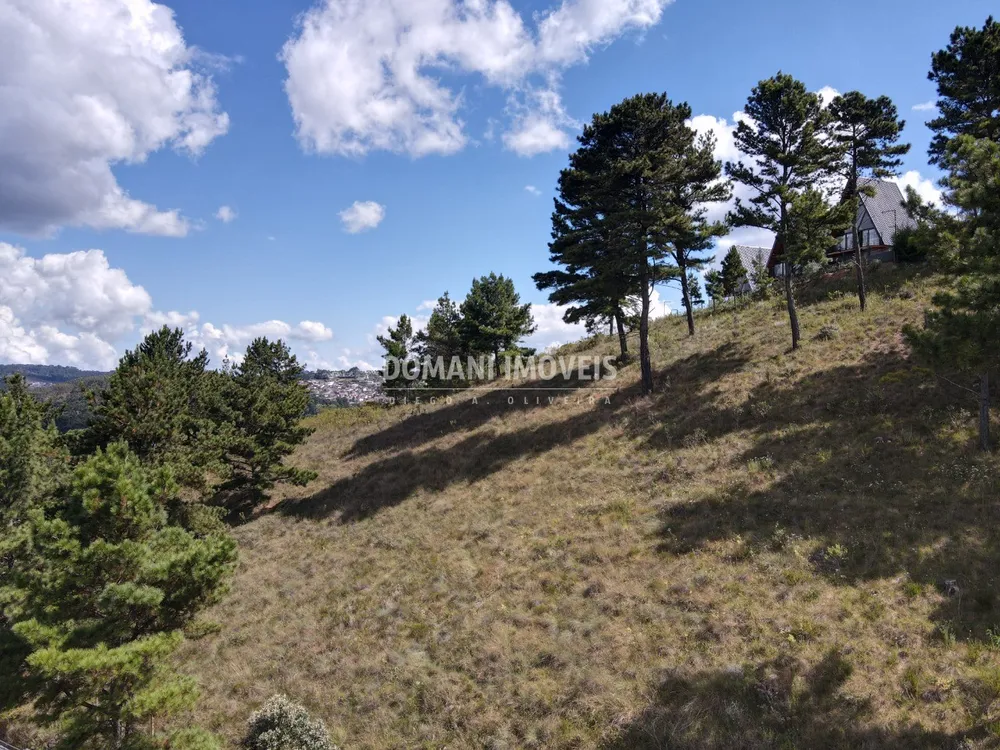 Terreno, 1600 m² - Foto 8