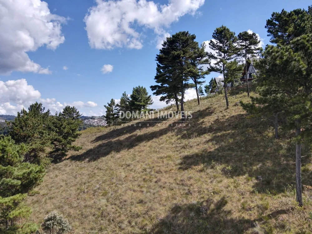 Terreno, 1600 m² - Foto 7
