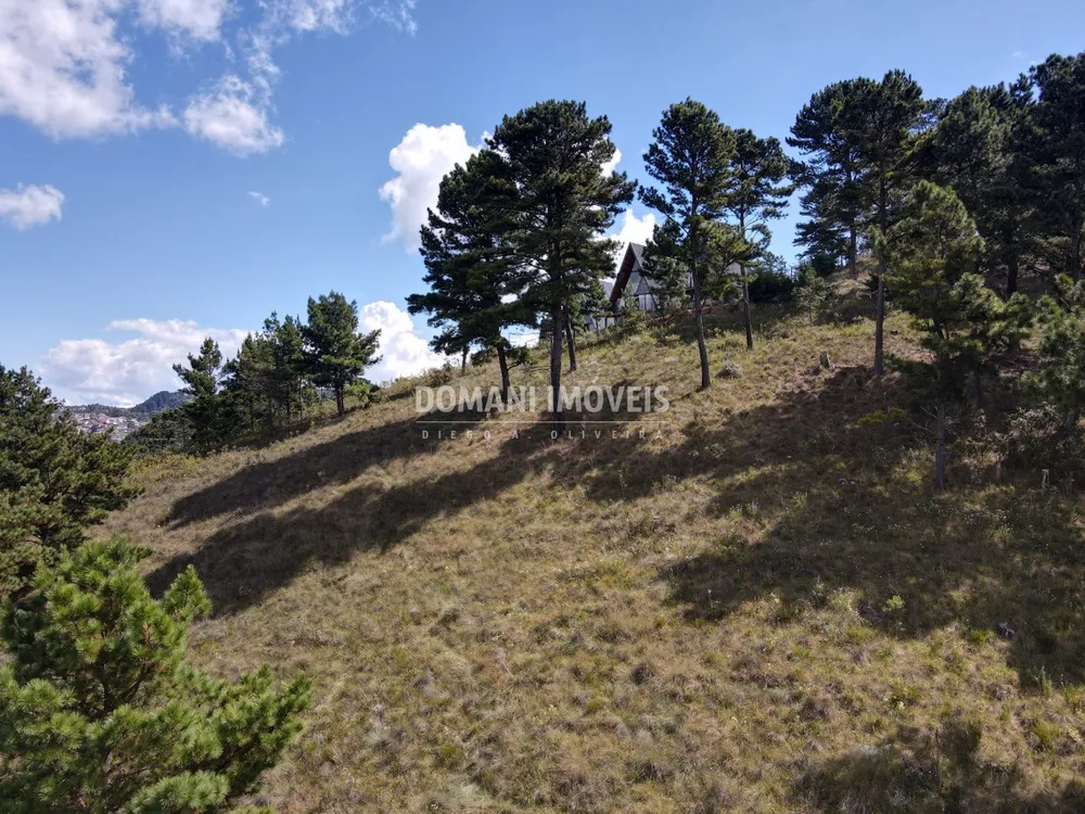 Terreno, 1600 m² - Foto 1