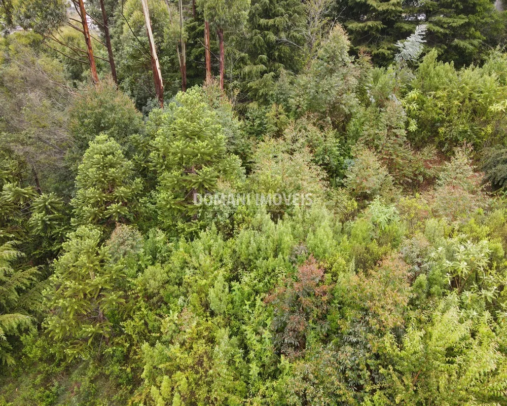 Terreno, 740 m² - Foto 5