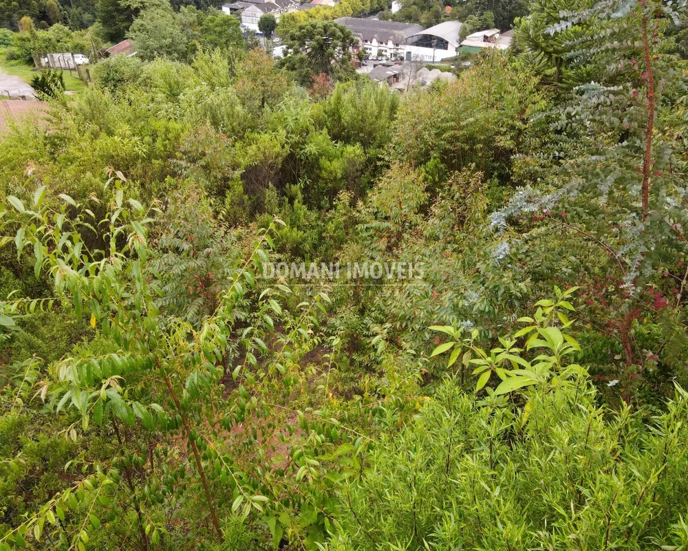 Terreno, 740 m² - Foto 7