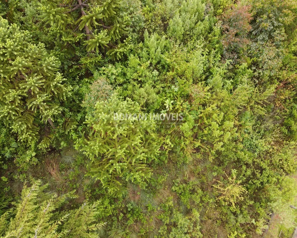Terreno, 740 m² - Foto 8