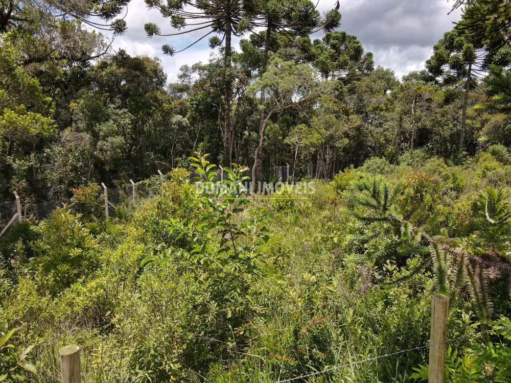 Terreno, 1010 m² - Foto 6