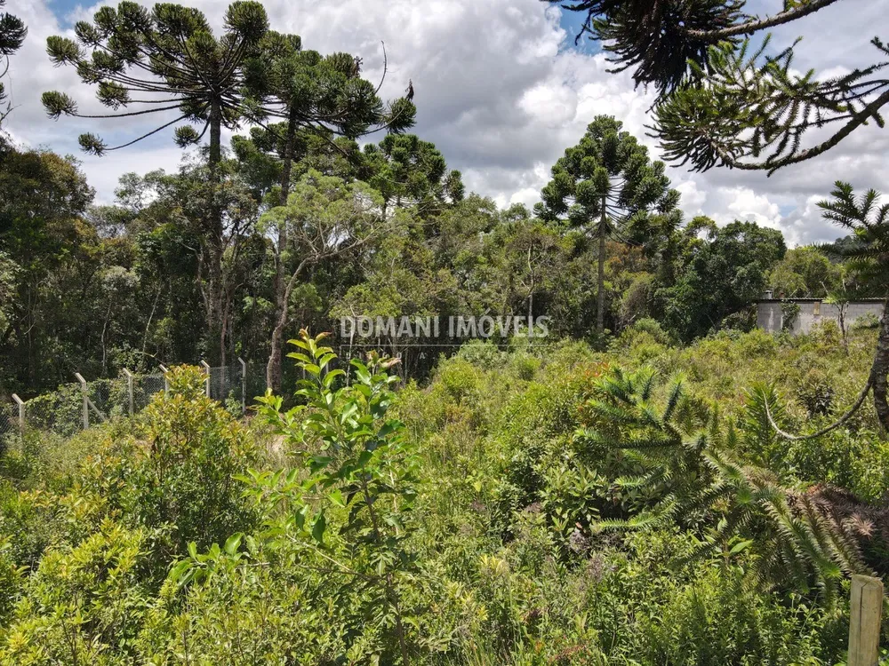 Terreno, 1010 m² - Foto 8