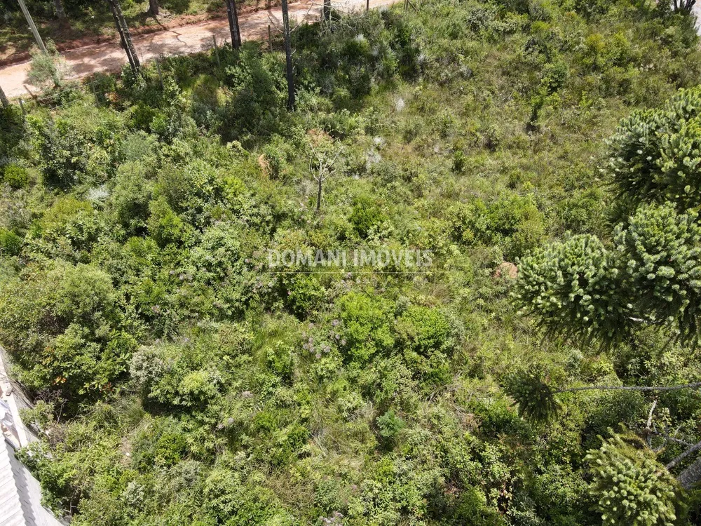 Terreno, 1010 m² - Foto 3