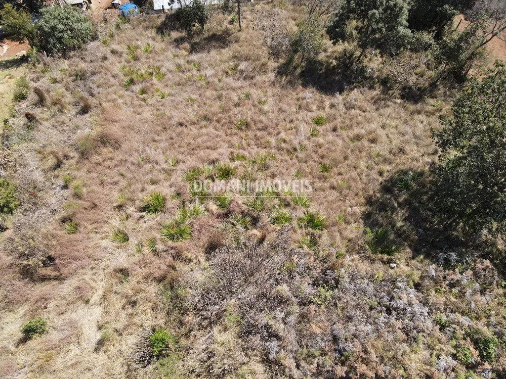 Terreno, 1170 m² - Foto 2