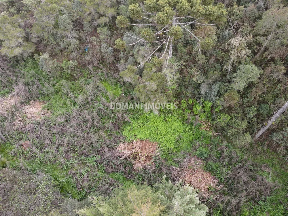 Terreno à venda, 17100m² - Foto 2