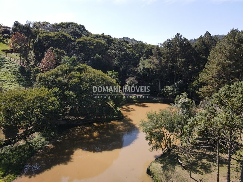 Terreno, 5000 m² - Foto 11