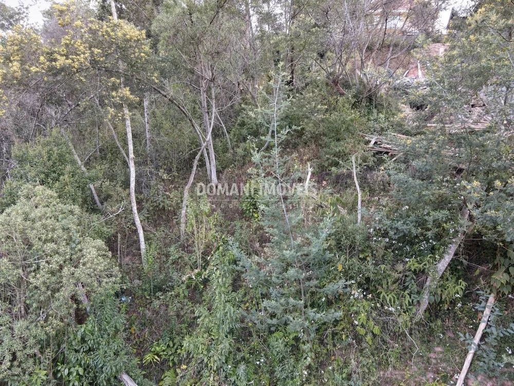 Terreno, 725 m² - Foto 6