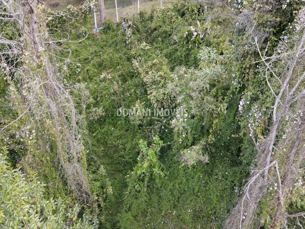 Terreno, 725 m² - Foto 7