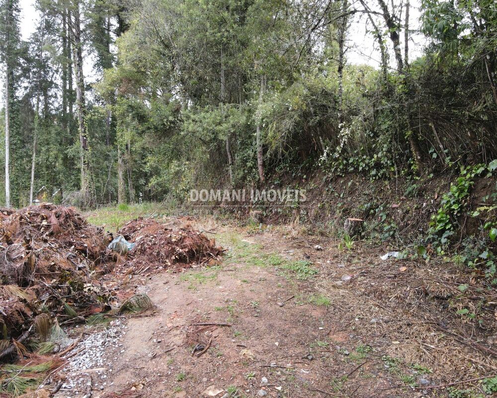 Terreno, 1100 m² - Foto 4