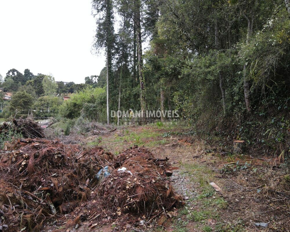 Terreno, 1100 m² - Foto 3