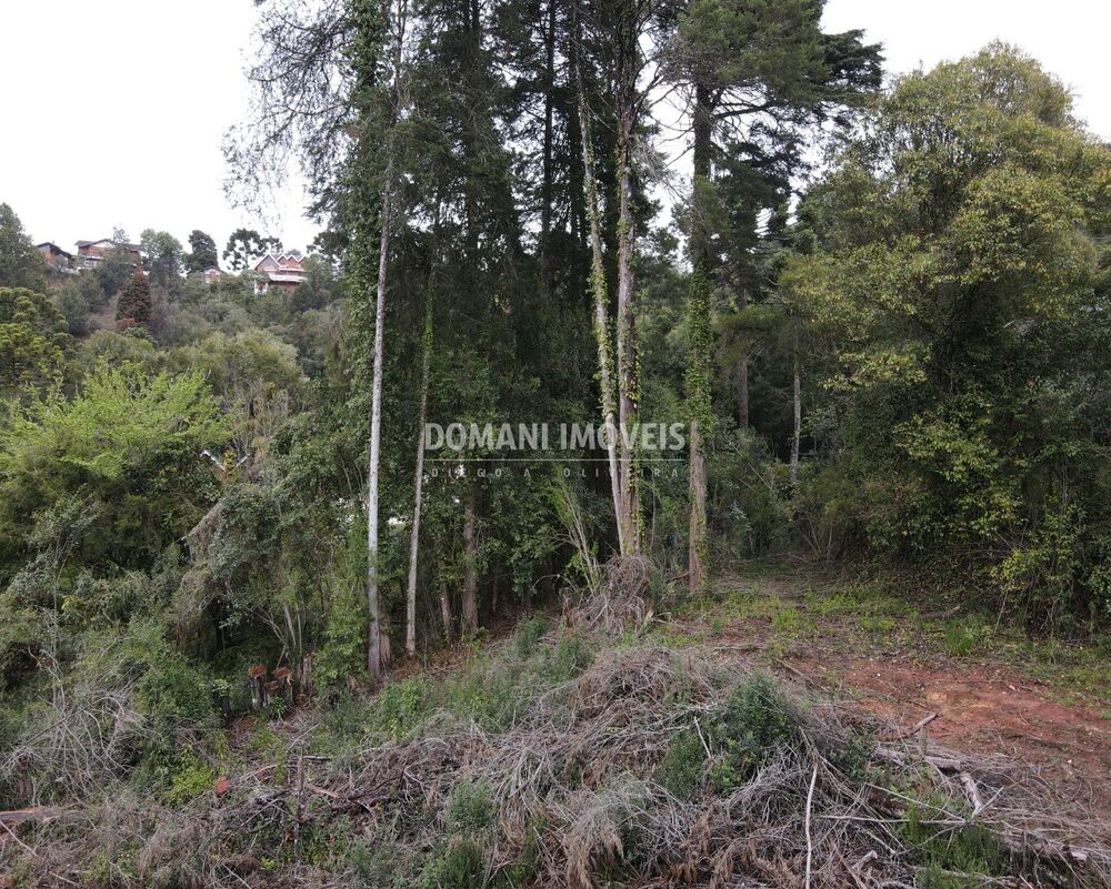 Terreno, 1100 m² - Foto 2