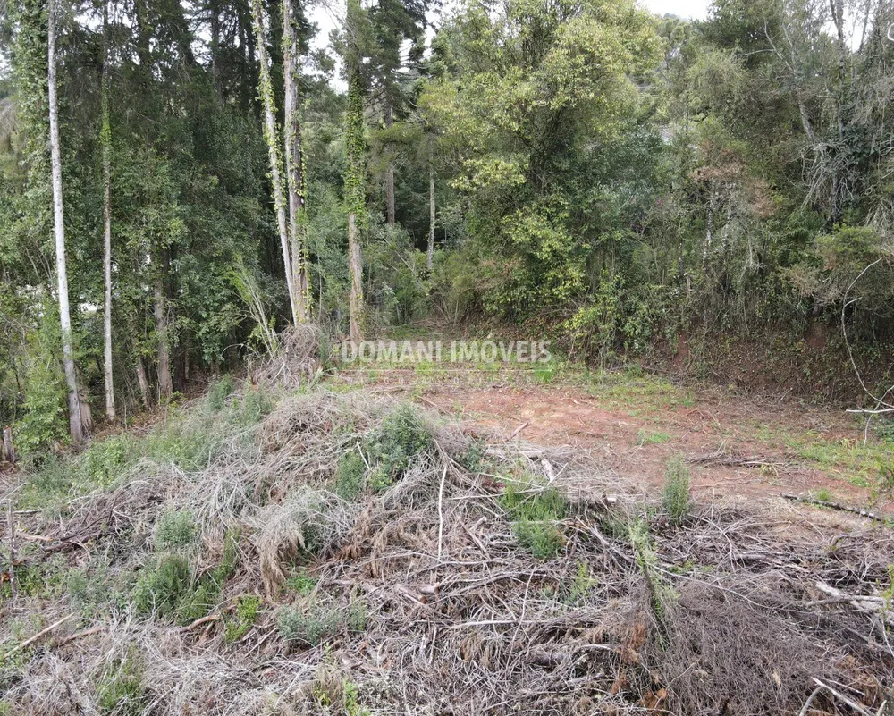 Terreno, 1100 m² - Foto 6